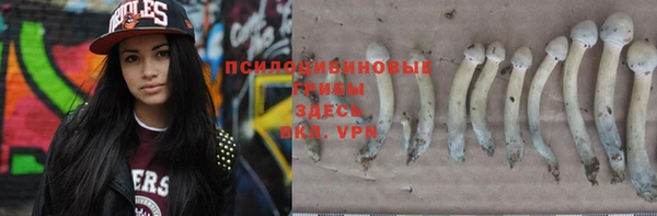 spice Абинск