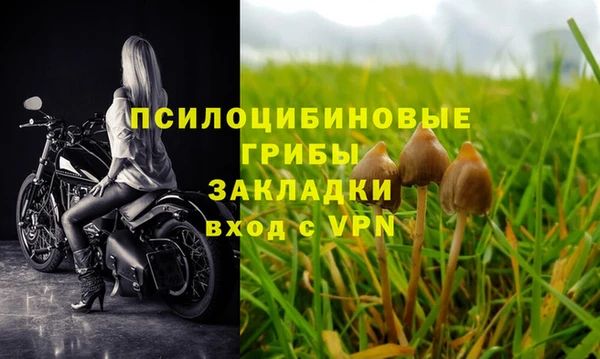 спиды Сафоново